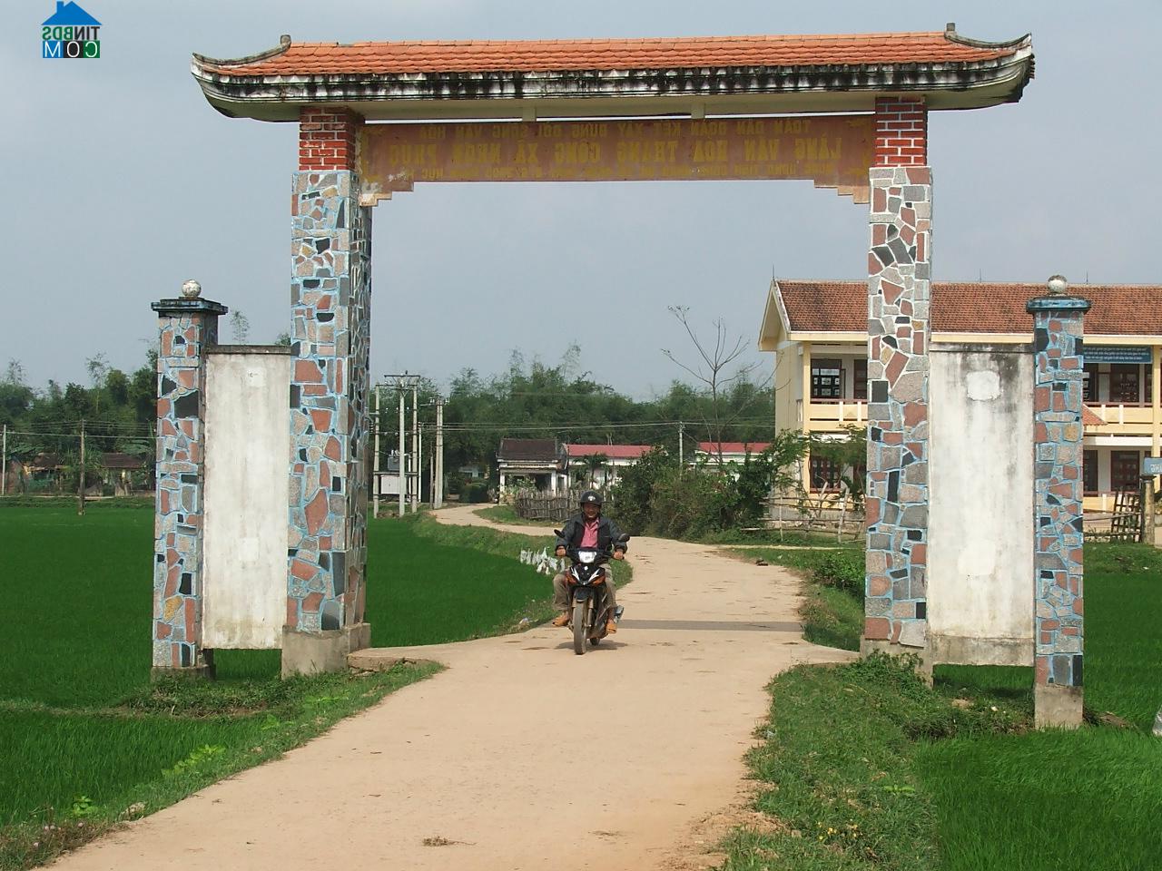 Hình ảnh Bình Định, Gia Lai