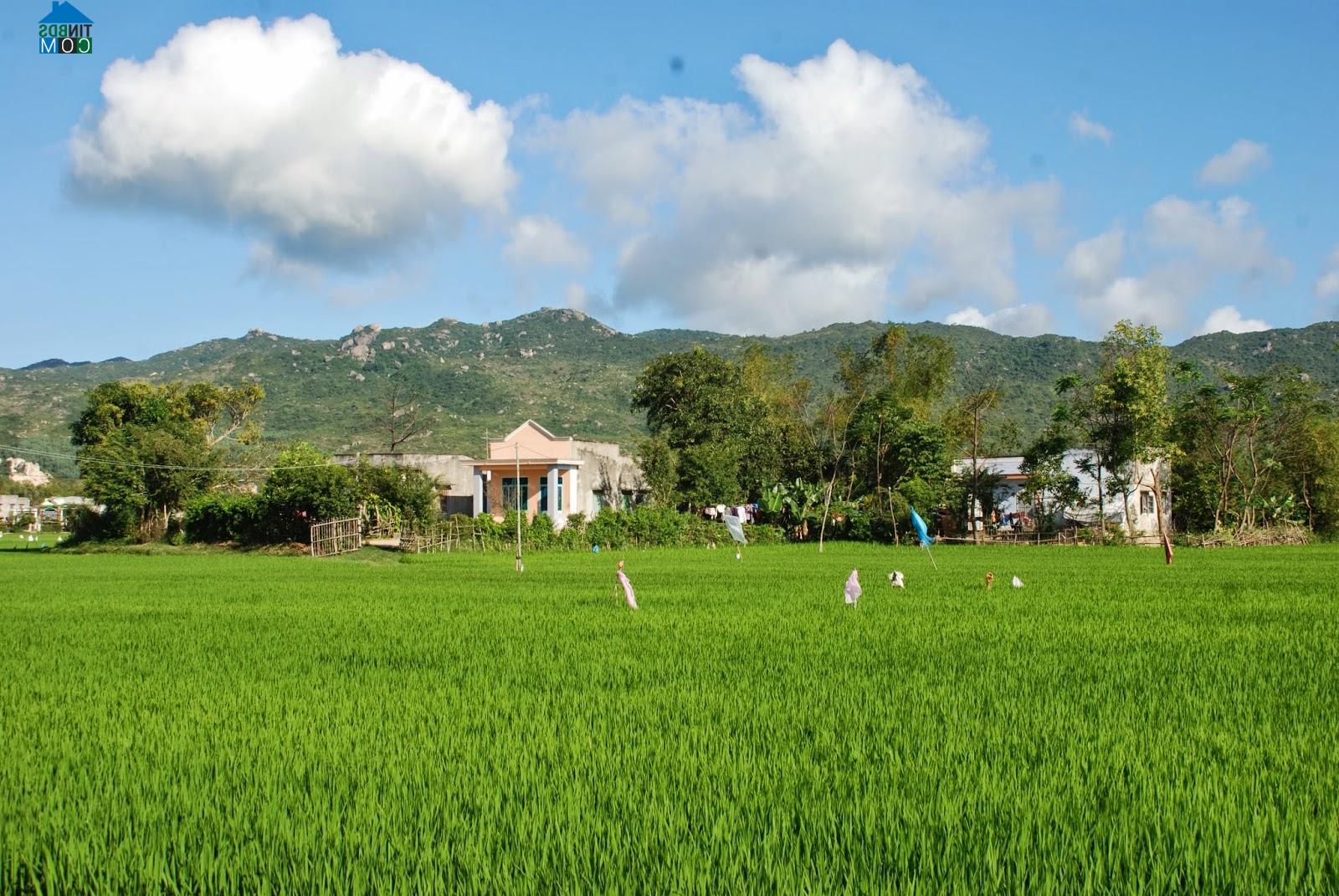 Hình ảnh Ngô Mây, Gia Lai