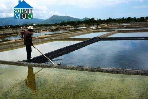 Hình ảnh Tuy Phước, Gia Lai