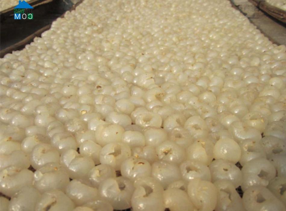 Hình ảnh Hồng Quang, Hưng Yên