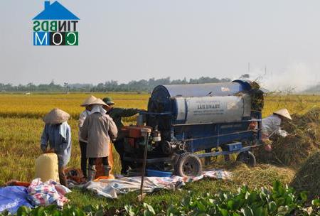 Hình ảnh Khoái Châu, Hưng Yên