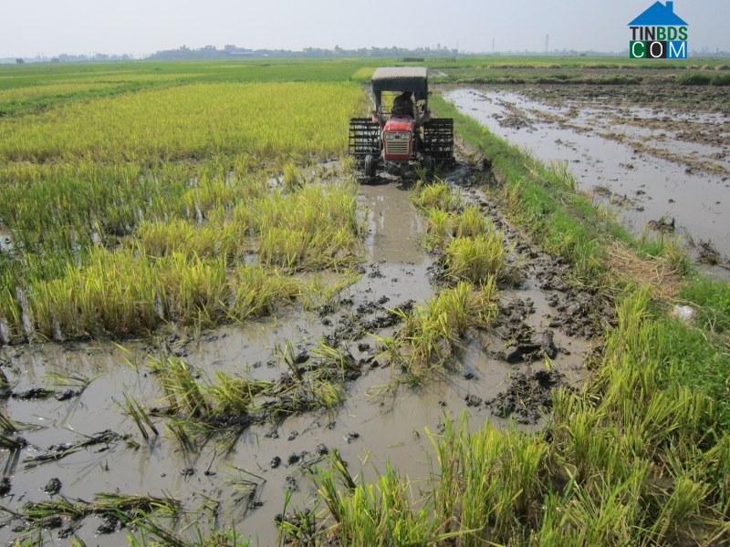 Hình ảnh Đông Hưng, Hưng Yên