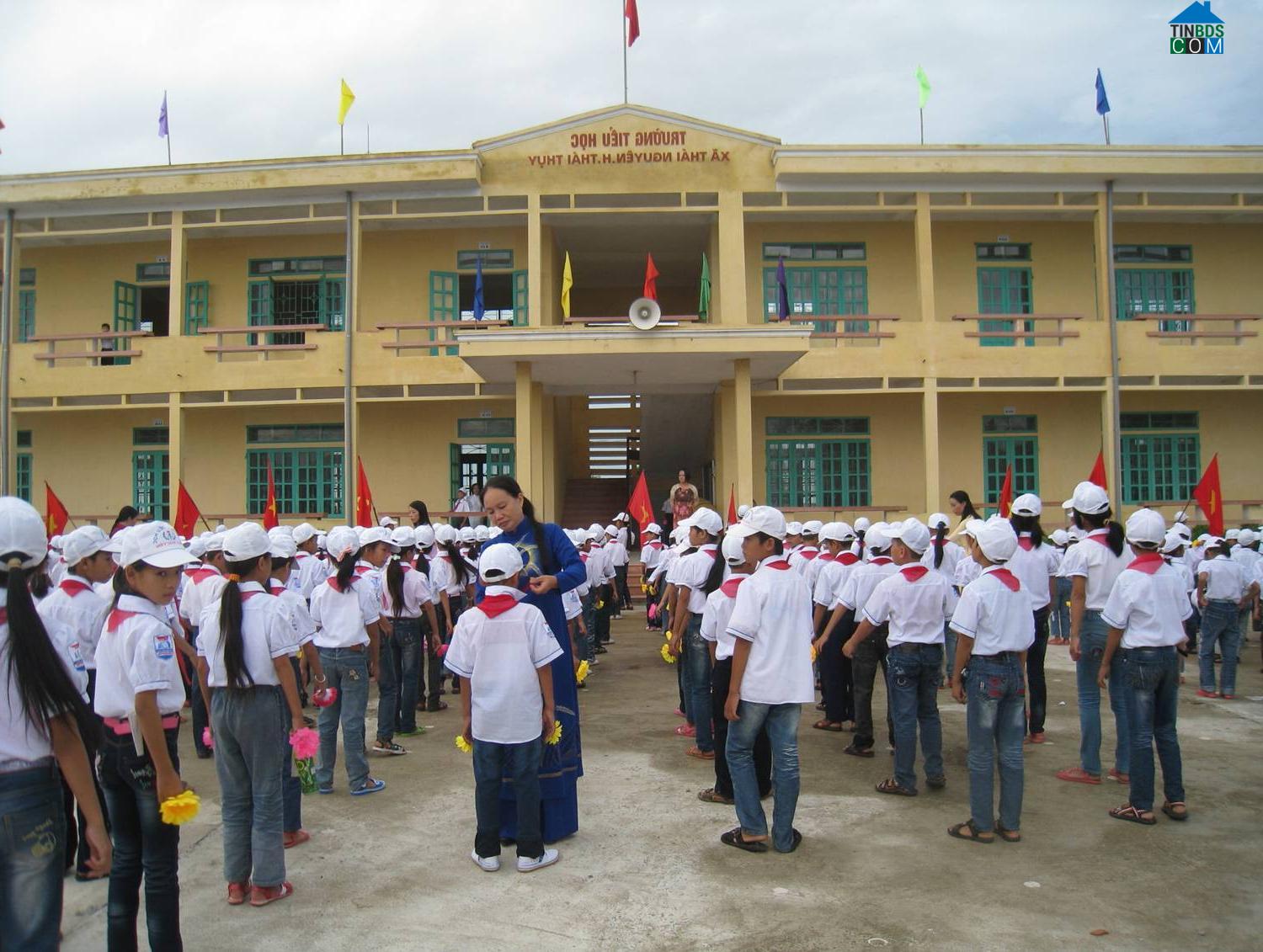 Hình ảnh Thái Ninh, Hưng Yên