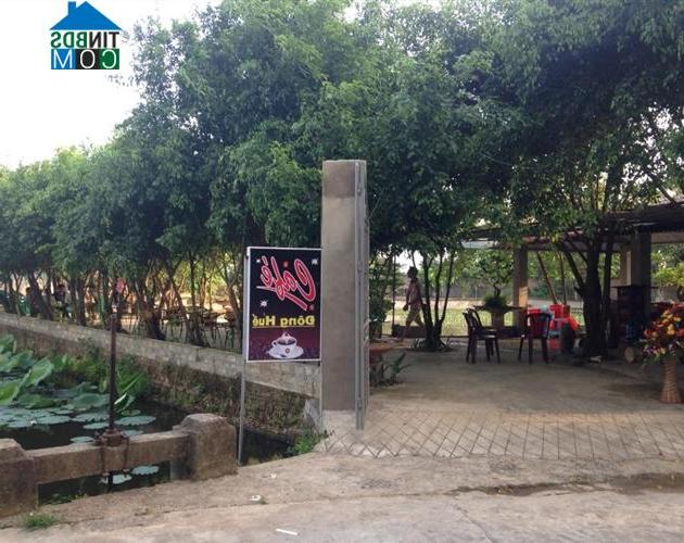 Hình ảnh Lương Bằng, Hưng Yên