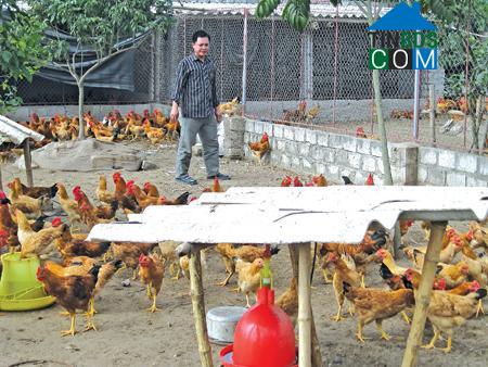 Hình ảnh Minh Thọ, Hưng Yên