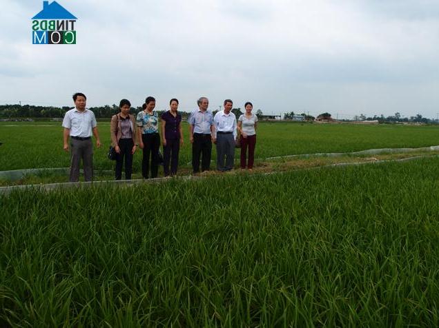 Hình ảnh Mỹ Hào, Hưng Yên