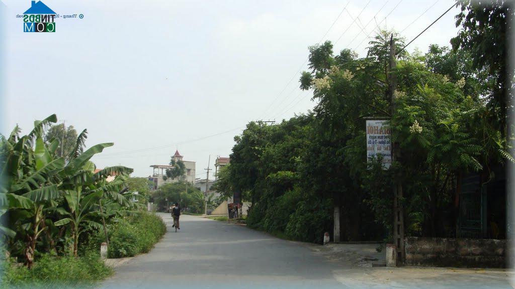 Hình ảnh Nguyễn Trãi, Hưng Yên