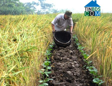 Hình ảnh Tiên La, Hưng Yên