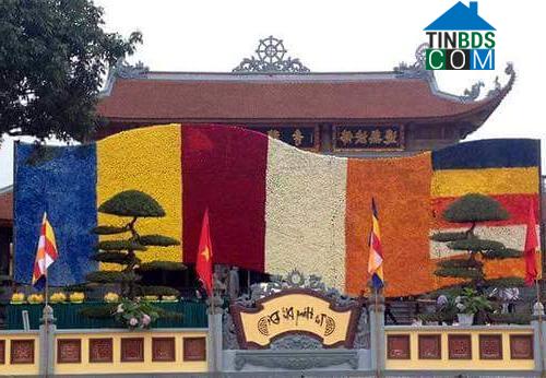 Hình ảnh Vũ Thư, Hưng Yên