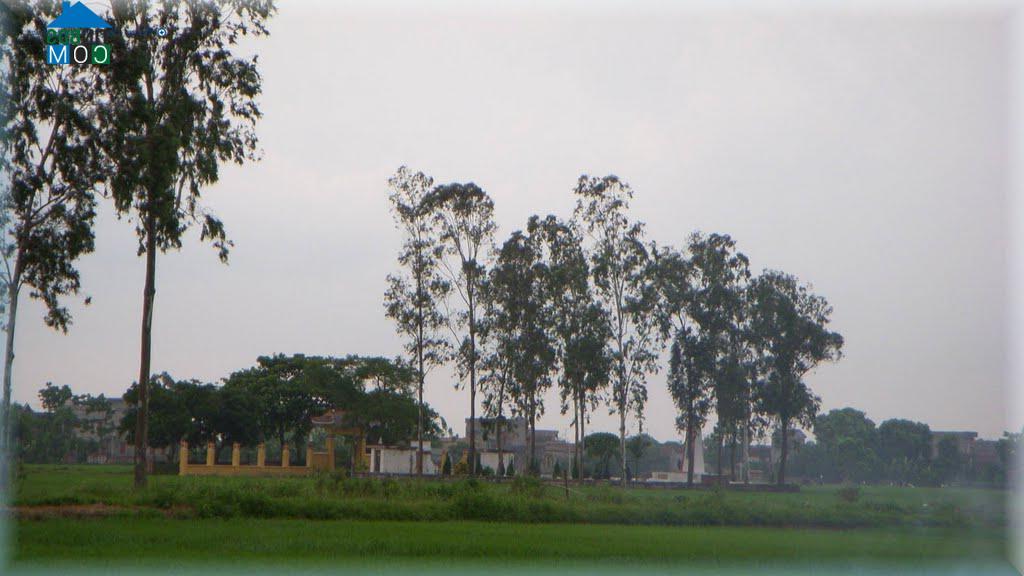 Hình ảnh Xuân Trúc, Hưng Yên