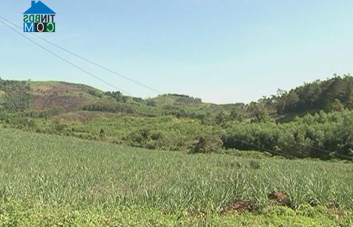 Hình ảnh Đông Khánh Sơn, Khánh Hòa