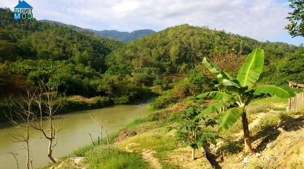 Hình ảnh Nam Khánh Vĩnh, Khánh Hòa