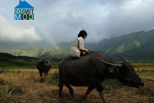 Hình ảnh Tu Bông, Khánh Hòa