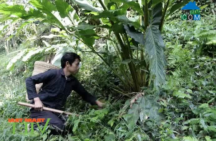 Hình ảnh Tủa Sín Chải, Lai Châu