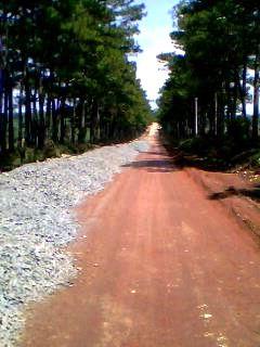 Hình ảnh Tân Hà Lâm Hà, Lâm Đồng