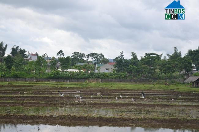 Hình ảnh Tân Phong, Lai Châu