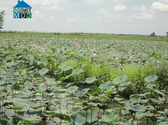 Hình ảnh Nam Thành, Lâm Đồng