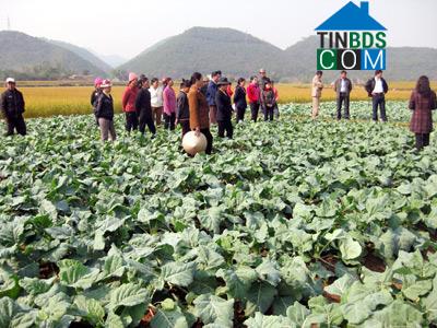 Hình ảnh Kỳ Lừa, Lạng Sơn