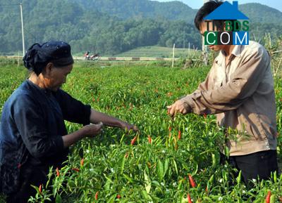 Hình ảnh Nhân Lý, Lạng Sơn