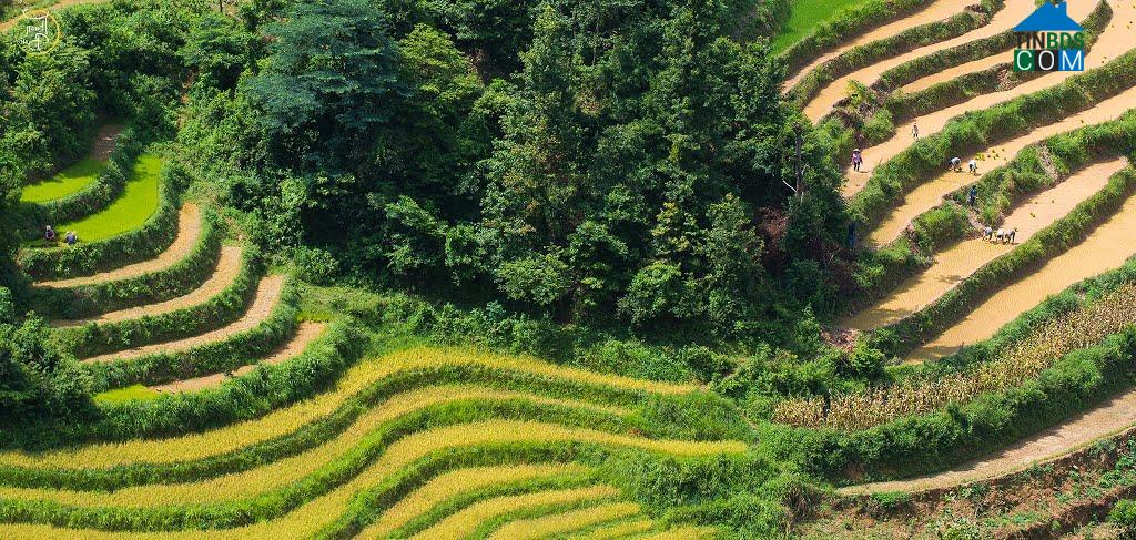 Hình ảnh Công Sơn, Lạng Sơn