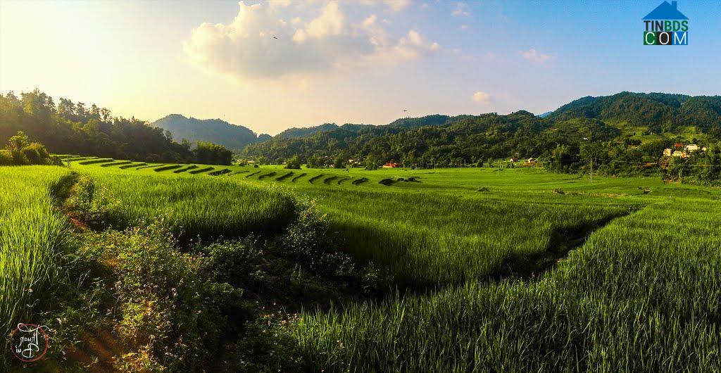 Hình ảnh Hoàng Văn Thụ, Lạng Sơn