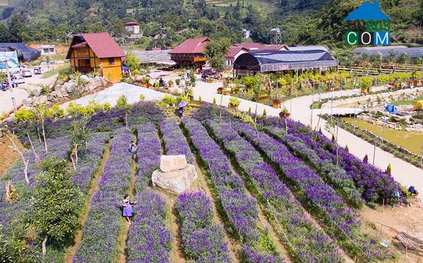 Hình ảnh Bắc Hà, Lào Cai