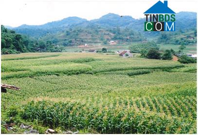 Hình ảnh Tân Đoàn, Lạng Sơn