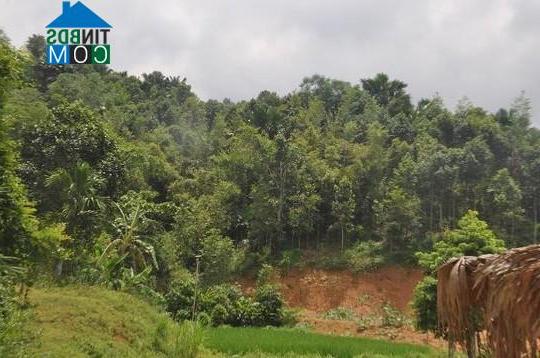 Hình ảnh Khánh Hòa, Lào Cai