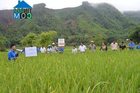 Hình ảnh Lục Yên, Lào Cai