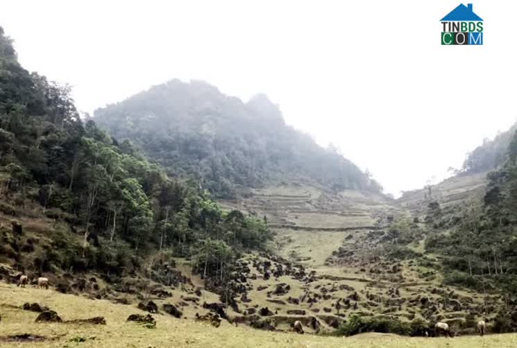 Hình ảnh Lùng Phình, Lào Cai