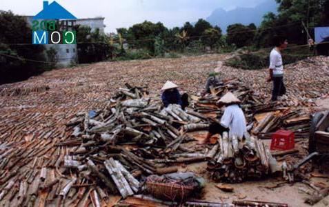 Hình ảnh Sơn Lương, Lào Cai