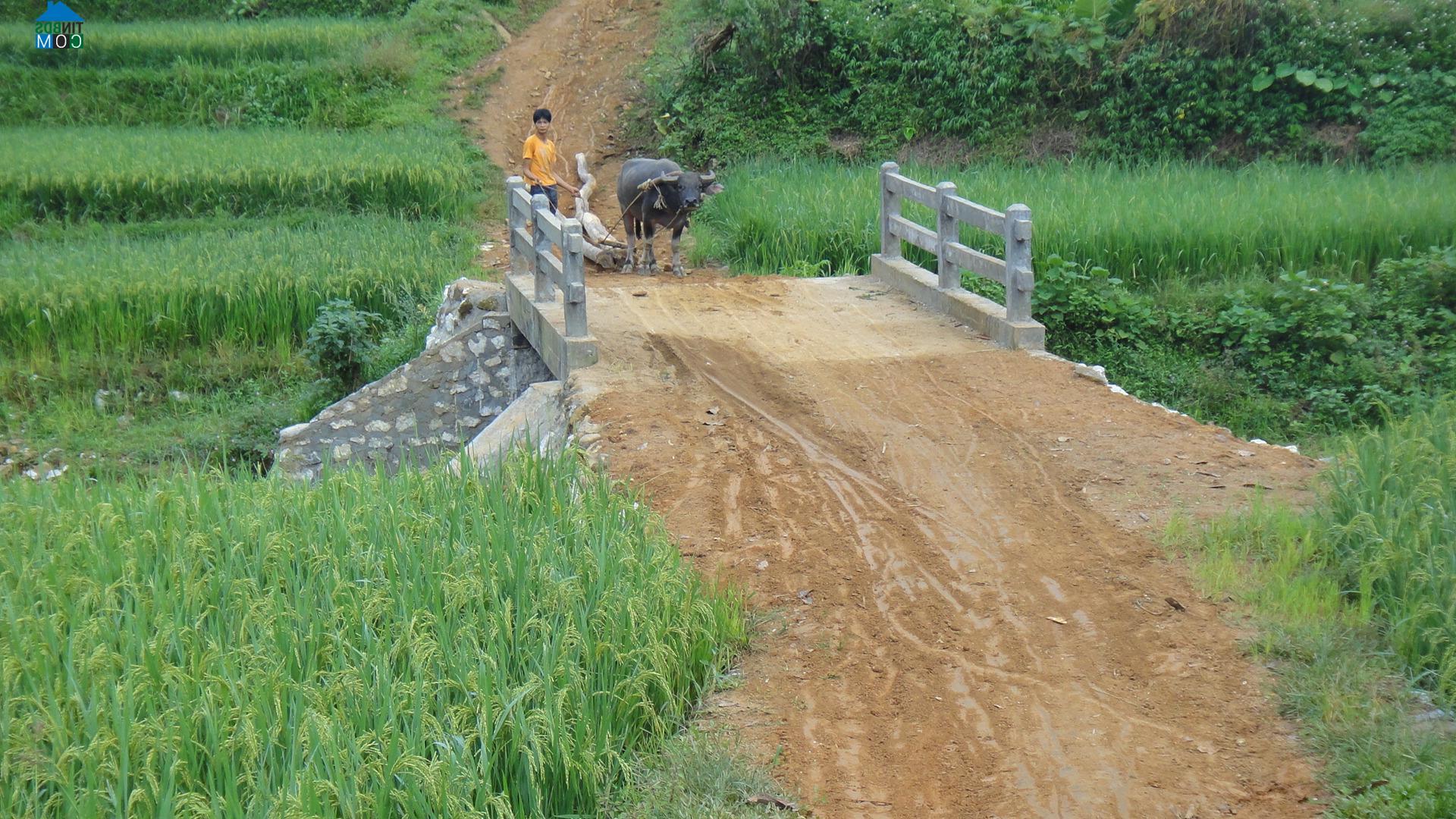 Hình ảnh Tân Lĩnh, Lào Cai