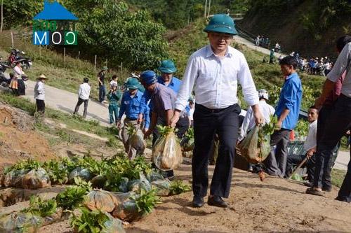 Hình ảnh Phình Hồ, Lào Cai