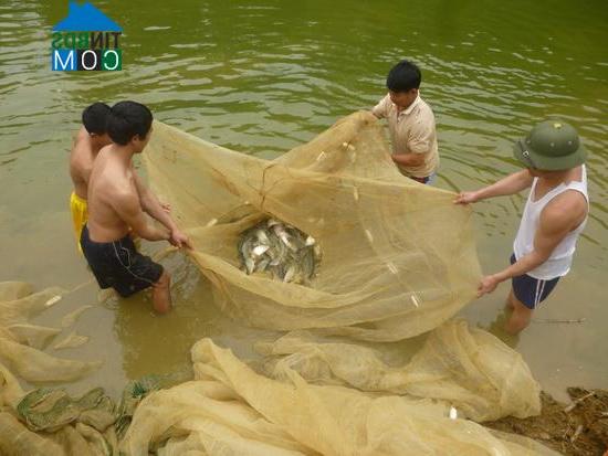 Hình ảnh Quy Mông, Lào Cai