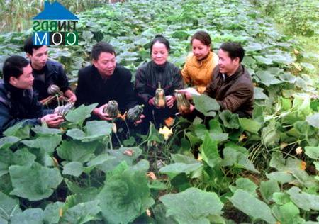 Hình ảnh Thác Bà, Lào Cai