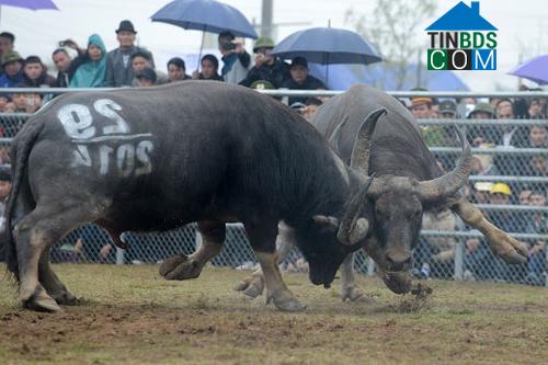 Hình ảnh Văn Bàn, Lào Cai