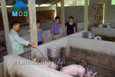 Hình ảnh Văn Phú, Lào Cai