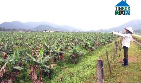 Hình ảnh Hợp Minh, Nghệ An