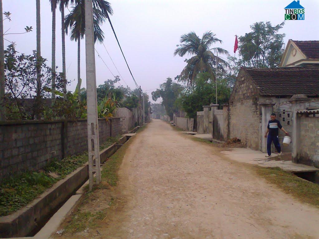 Hình ảnh Yên Thành, Nghệ An