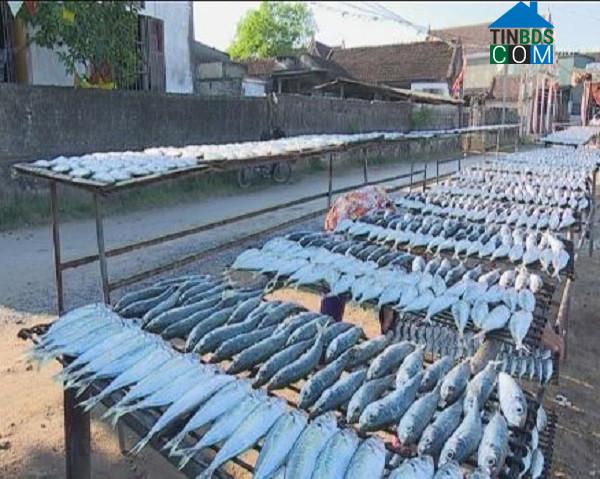 Hình ảnh Đức Châu, Nghệ An