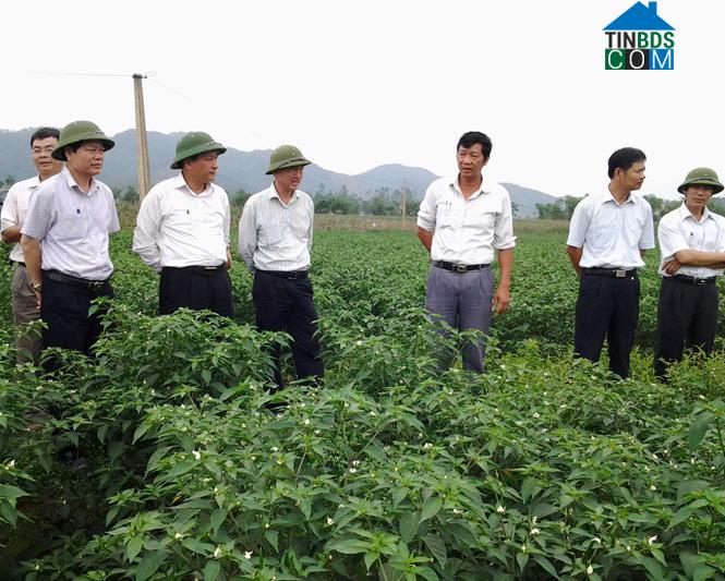 Hình ảnh Hoàn Lão, Quảng Trị