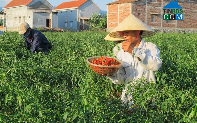 Hình ảnh Bố Trạch, Quảng Trị