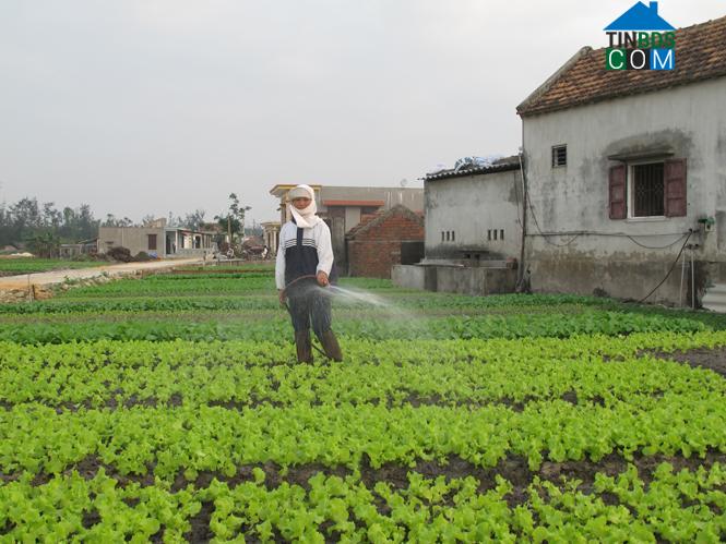 Hình ảnh Đông Trạch, Quảng Trị