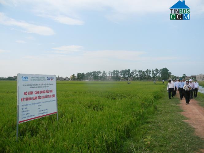 Hình ảnh Lệ Thủy, Quảng Trị