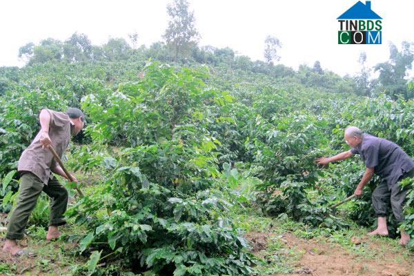 Hình ảnh Chiềng Mai, Sơn La