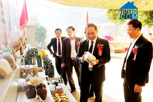 Hình ảnh Quỳnh Nhai, Sơn La