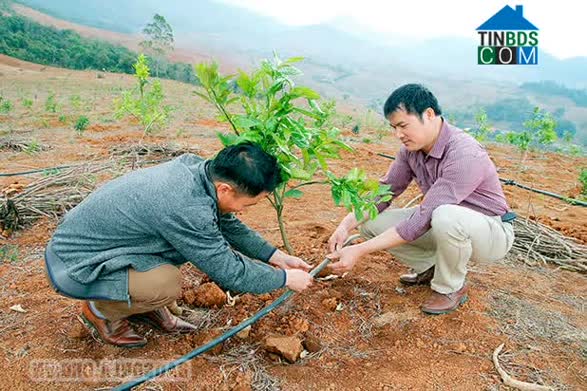 Hình ảnh Sốp Cộp, Sơn La