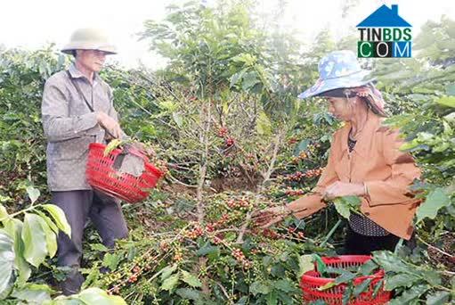 Hình ảnh Nậm Lầu, Sơn La