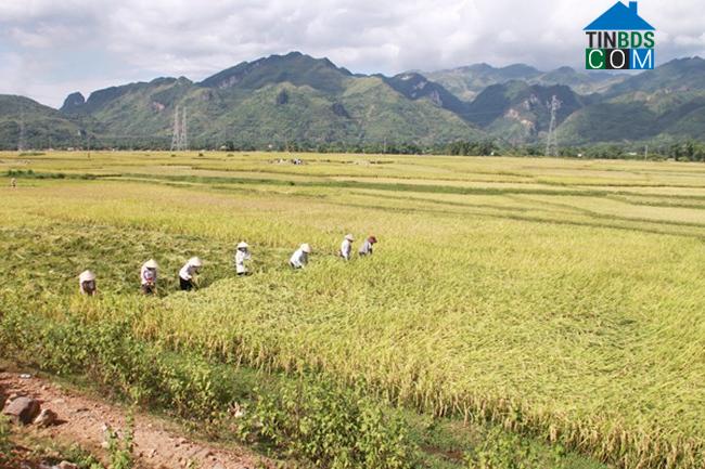 Hình ảnh Phù Yên, Sơn La