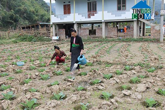 Hình ảnh Thuận Châu, Sơn La